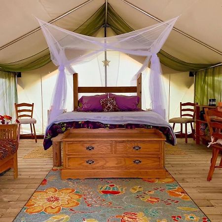So Damn Lucky Glamping Hotell Ucluelet Eksteriør bilde