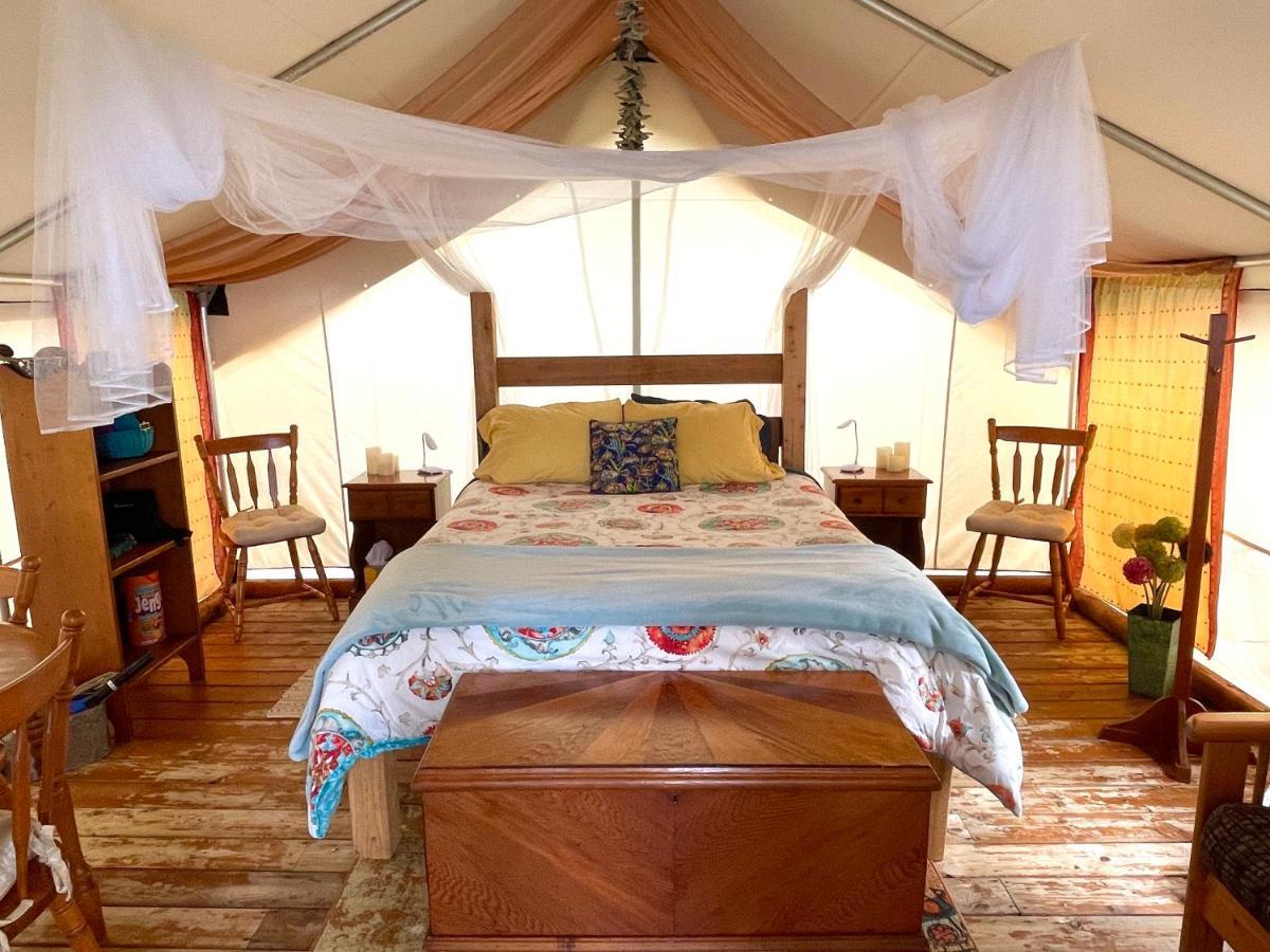 So Damn Lucky Glamping Hotell Ucluelet Eksteriør bilde