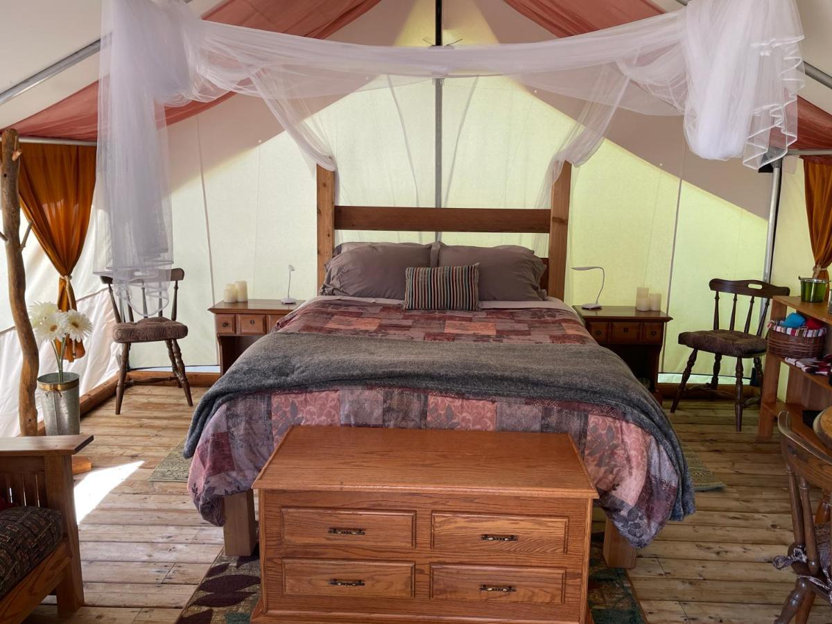 So Damn Lucky Glamping Hotell Ucluelet Eksteriør bilde